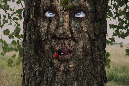 עריכת וידאו, צילום והפקה